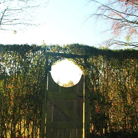 Gertrude&friends Villa *