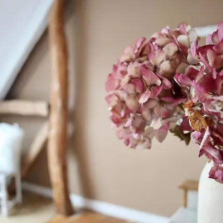 Gertrude&friends 빌라 Herbais