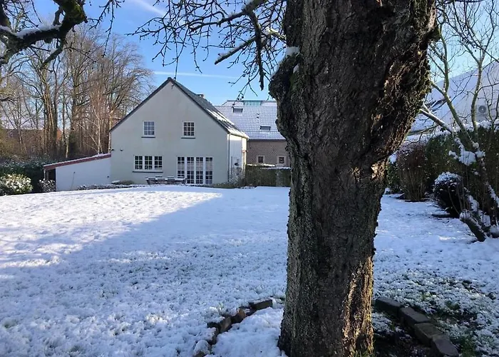 Gertrude&friends فيلة Herbais