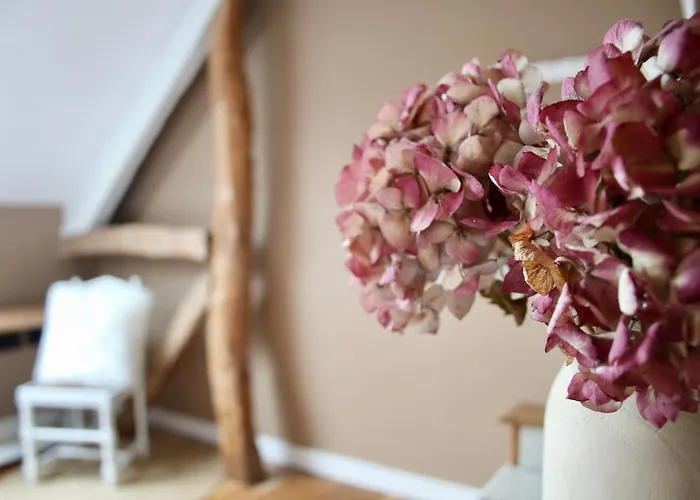 Gertrude&friends فيلة Herbais