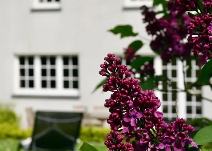 فيلة Gertrude&friends Herbais